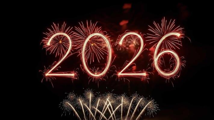 new year 2026 celebration in Ranthambore