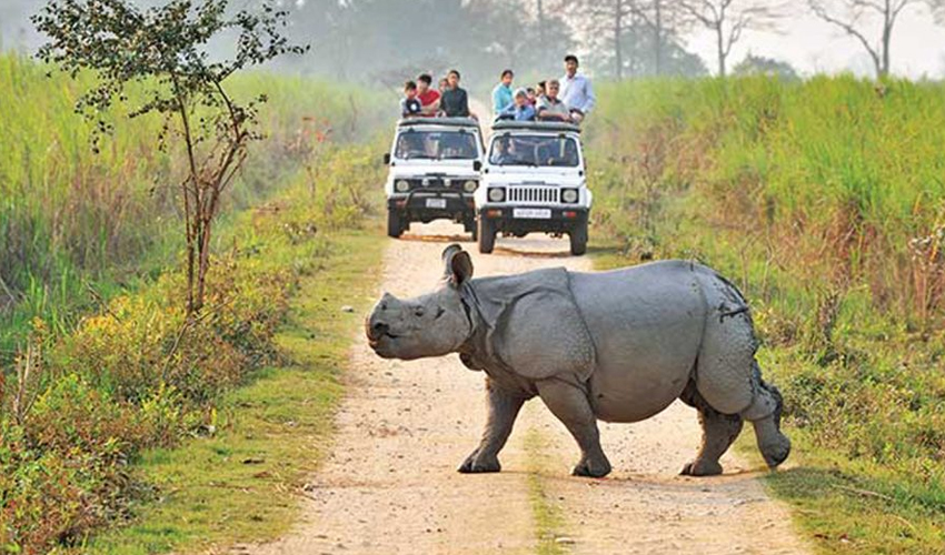 Best Wildlife Safari Parks in India