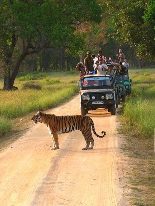 bandhavgarh national park