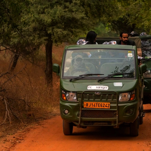 Ranthambore Canter Safari 