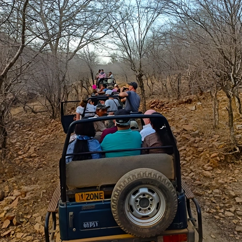 Ranthambore Holiday Packages