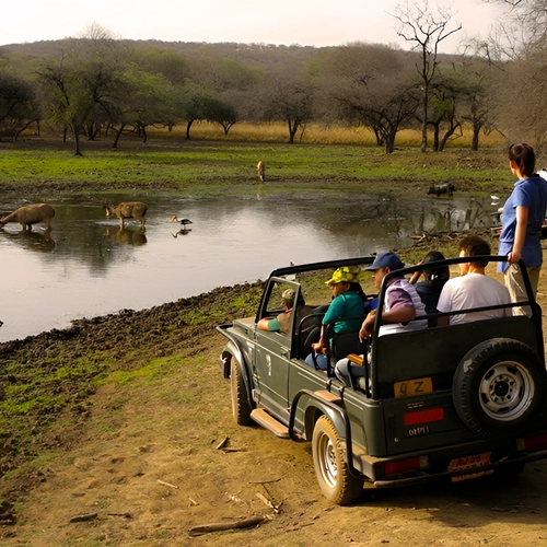 Ranthambore Jeep Safari