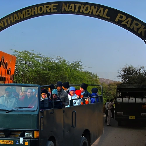 Ranthambore Jungle Safari