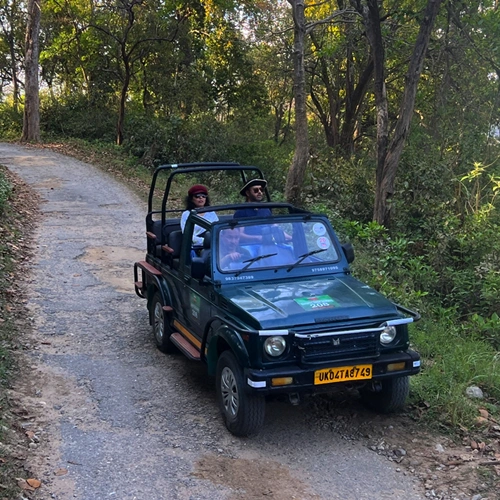 Ranthambore Tour Packages from Delhi