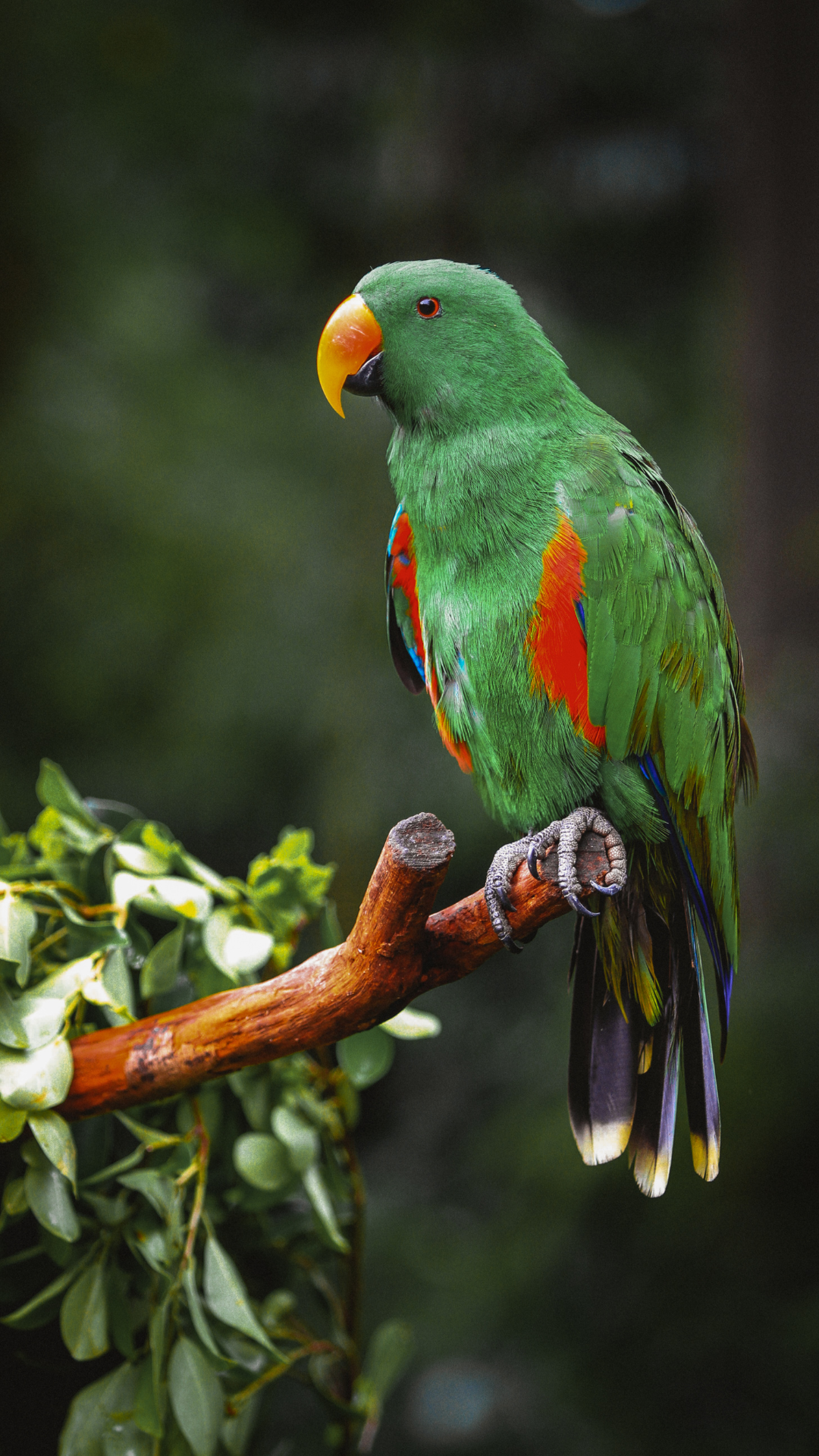 Nehru Zoological Park