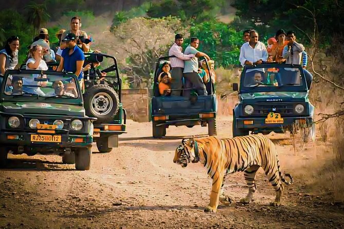 ranthambore jeep safari