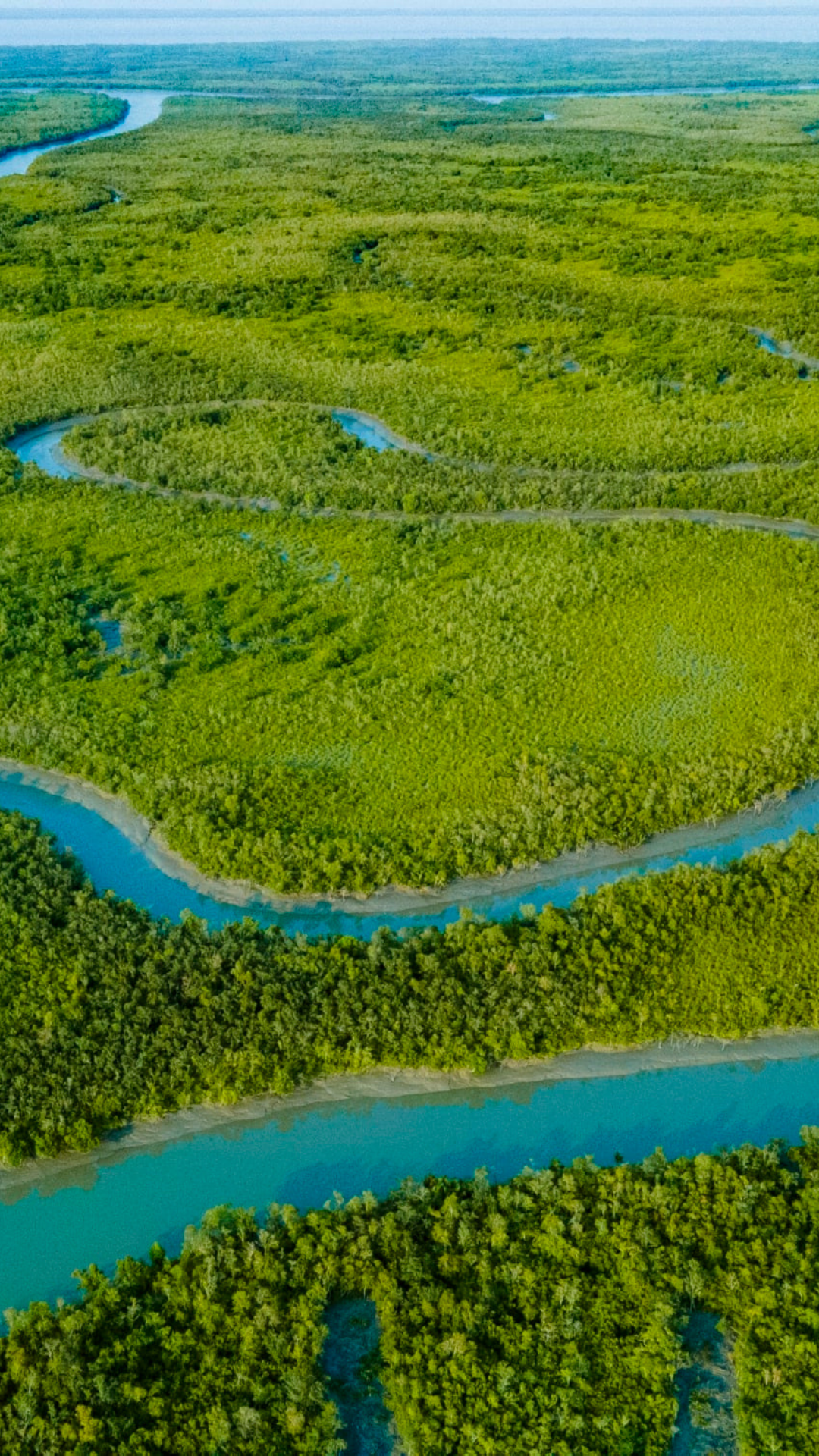 Sundarbans National Park